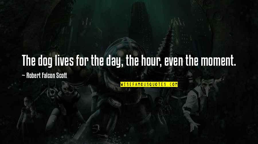 Neighboritis Quotes By Robert Falcon Scott: The dog lives for the day, the hour, Neighboritis Quotes By Robert Falcon Scott: The dog lives for the day, the hour,