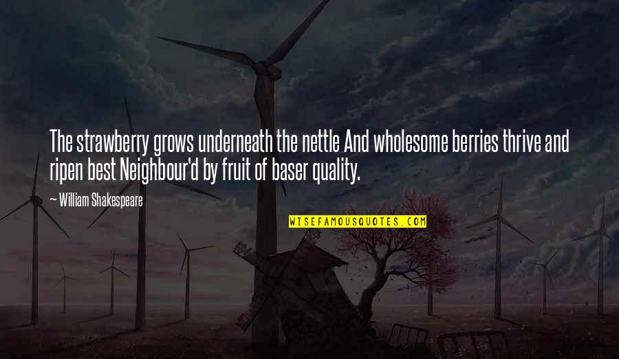 Neighbour'd Quotes By William Shakespeare: The strawberry grows underneath the nettle And wholesome Neighbour'd Quotes By William Shakespeare: The strawberry grows underneath the nettle And wholesome