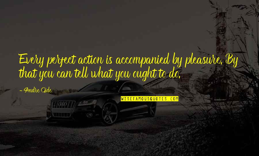 Neighbourhood Friends Quotes By Andre Gide: Every perfect action is accompanied by pleasure. By