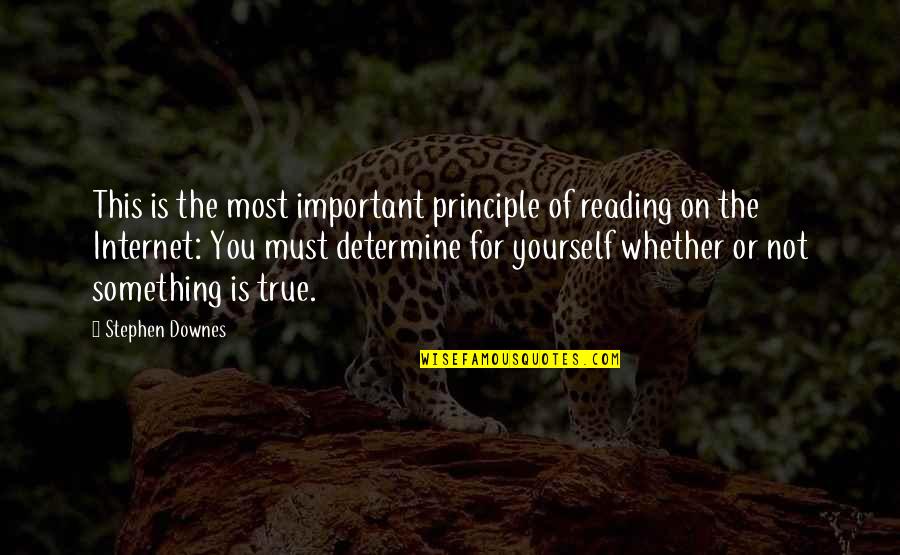 Neighbouring Quotes By Stephen Downes: This is the most important principle of reading