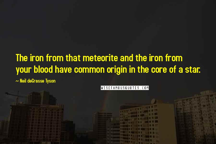 Neil DeGrasse Tyson quotes: The iron from that meteorite and the iron from your blood have common origin in the core of a star.