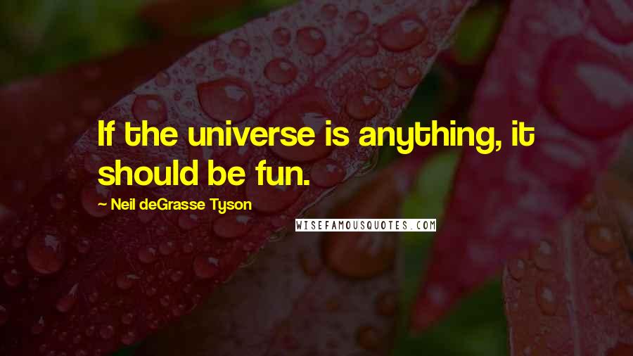 Neil DeGrasse Tyson quotes: If the universe is anything, it should be fun.