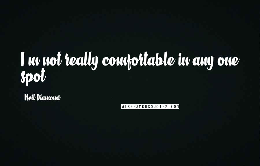 Neil Diamond quotes: I'm not really comfortable in any one spot.