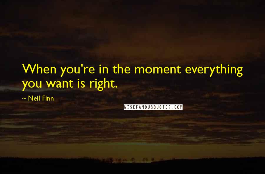 Neil Finn quotes: When you're in the moment everything you want is right.