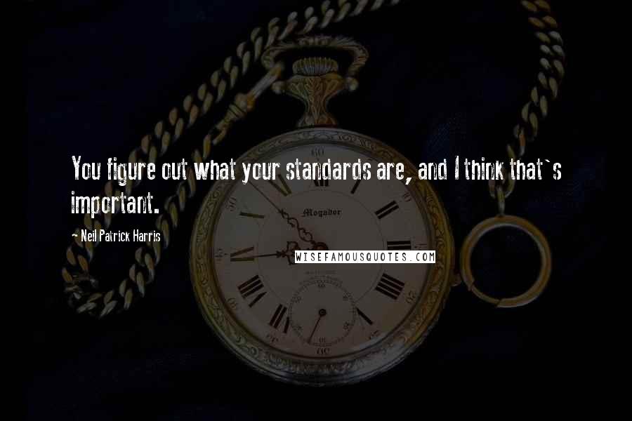 Neil Patrick Harris quotes: You figure out what your standards are, and I think that's important.