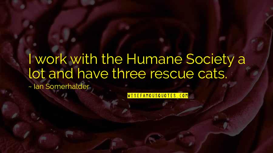 Neil Peart Drumming Quotes By Ian Somerhalder: I work with the Humane Society a lot Neil Peart Drumming Quotes By Ian Somerhalder: I work with the Humane Society a lot