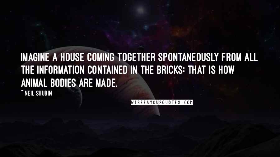 Neil Shubin quotes: Imagine a house coming together spontaneously from all the information contained in the bricks: that is how animal bodies are made. Neil Shubin quotes: Imagine a house coming together spontaneously from all the information contained in the bricks: that is how animal bodies are made.