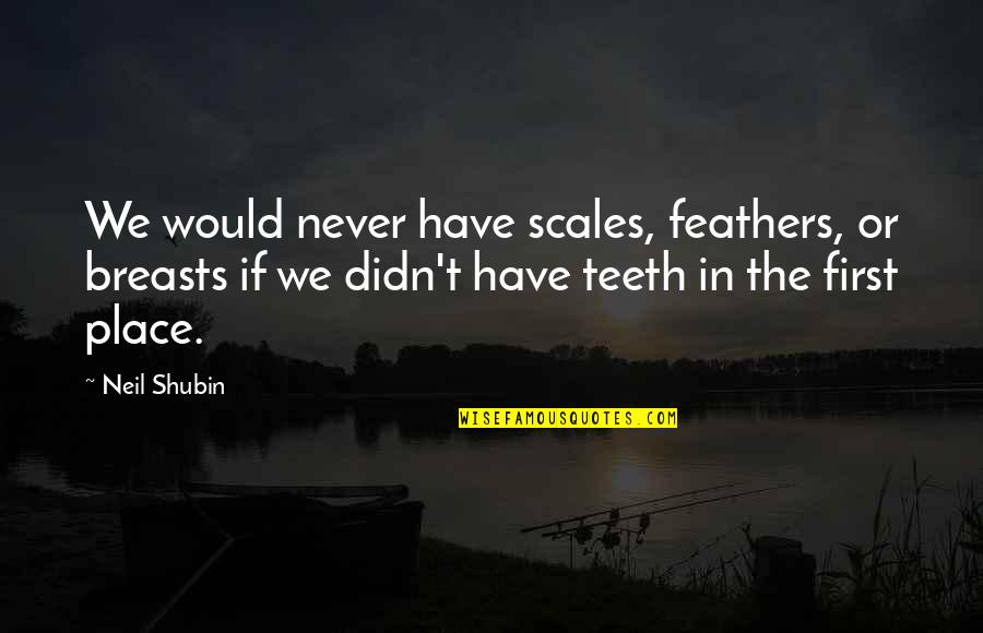 Neil Shubin Quotes By Neil Shubin: We would never have scales, feathers, or breasts Neil Shubin Quotes By Neil Shubin: We would never have scales, feathers, or breasts