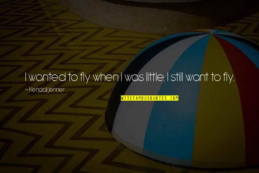 Neill Anderson Quotes By Kendall Jenner: I wanted to fly when I was little. Neill Anderson Quotes By Kendall Jenner: I wanted to fly when I was little.