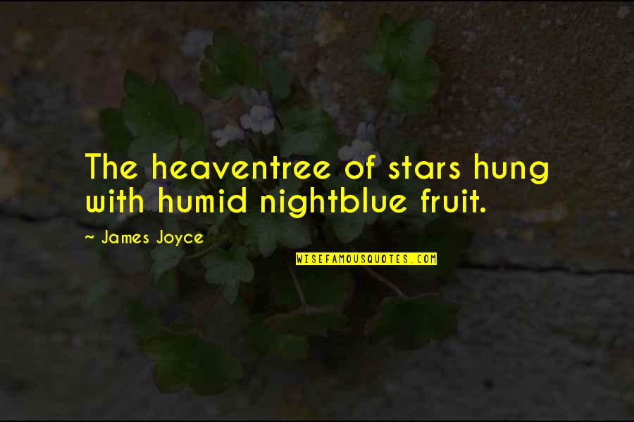 Neimer Quotes By James Joyce: The heaventree of stars hung with humid nightblue