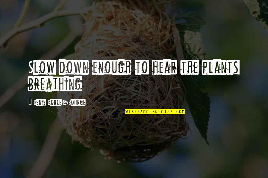 Nejat Isler Quotes By Denis Gorce-Bourge: Slow down enough to hear the plants breathing