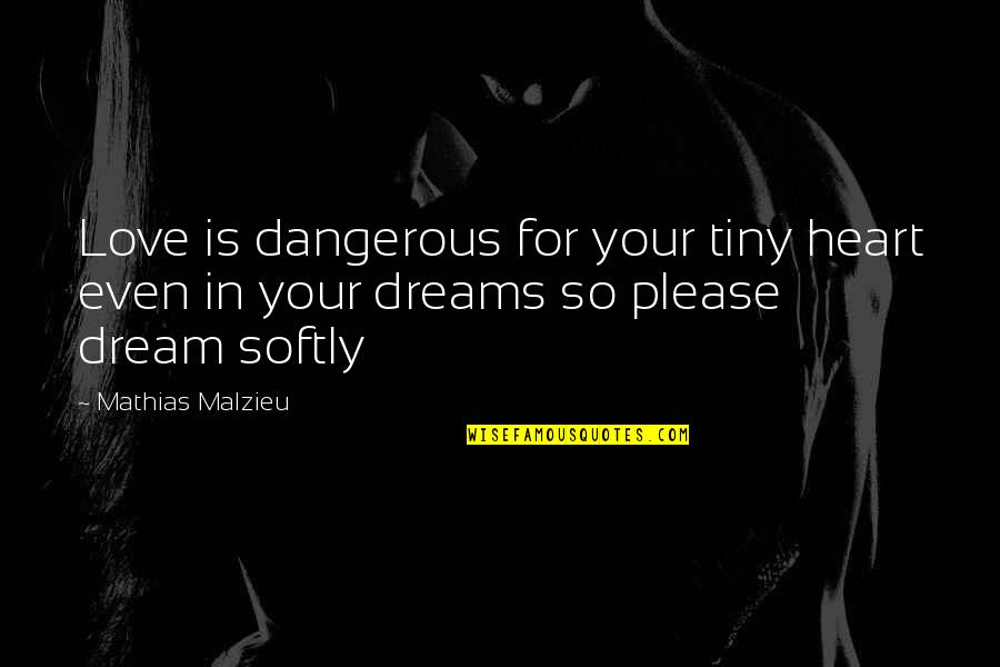 Nejsprostejsi Quotes By Mathias Malzieu: Love is dangerous for your tiny heart even