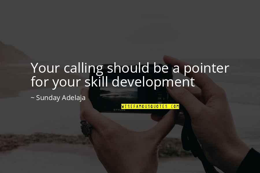 Nelderm Quotes By Sunday Adelaja: Your calling should be a pointer for your