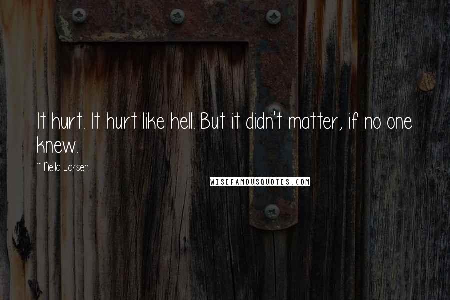 Nella Larsen quotes: It hurt. It hurt like hell. But it didn't matter, if no one knew.