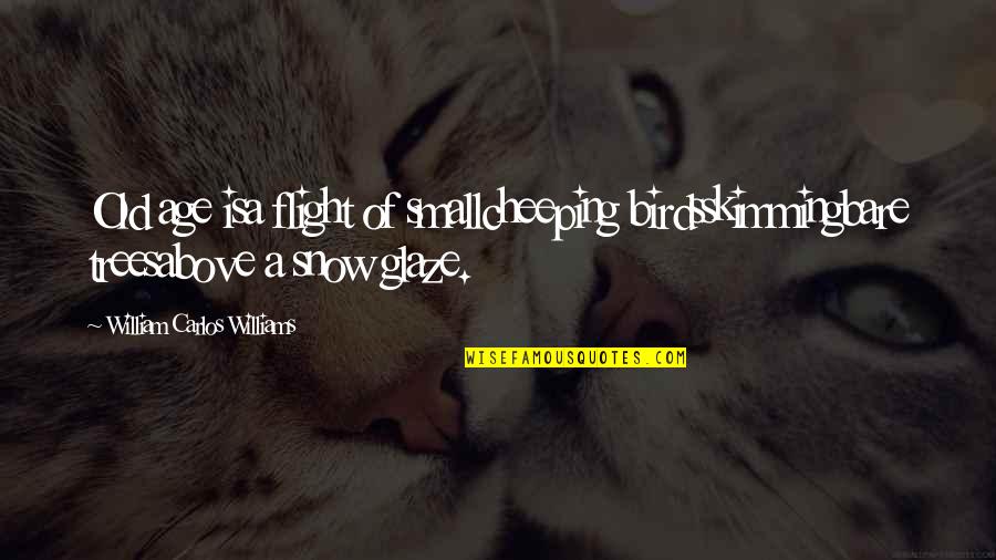 Nelly Furtado Quotes By William Carlos Williams: Old age isa flight of smallcheeping birdsskimmingbare treesabove