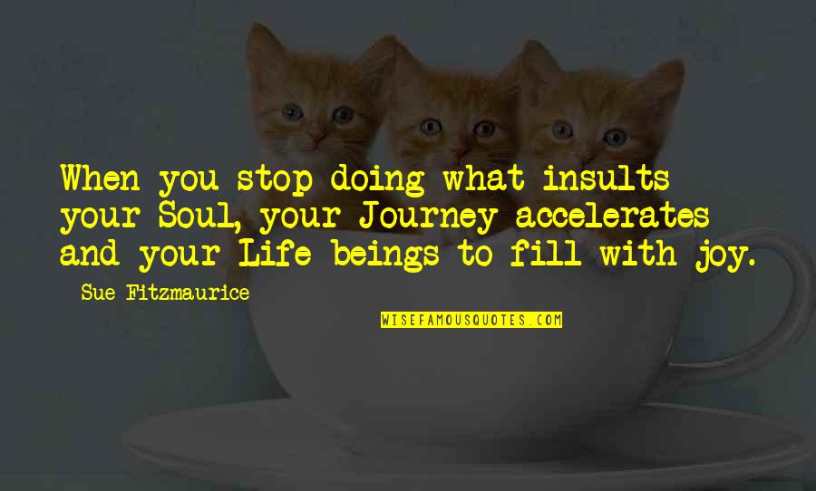 Nelon Quotes By Sue Fitzmaurice: When you stop doing what insults your Soul,