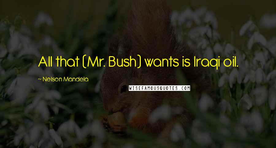 Nelson Mandela quotes: All that (Mr. Bush) wants is Iraqi oil.