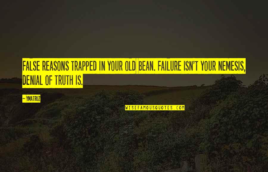 Nemesis Quotes By Ymatruz: False reasons trapped in your old bean. Failure