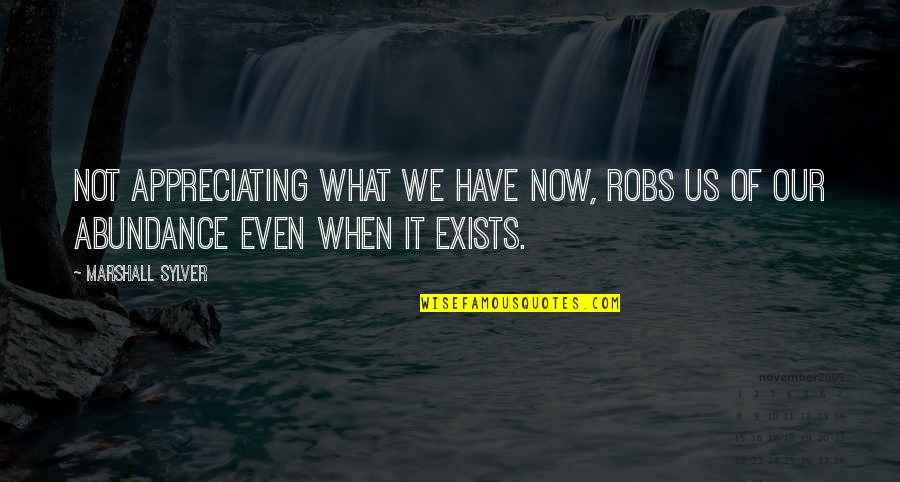 Nemoj Sa Quotes By Marshall Sylver: Not appreciating what we have now, robs us