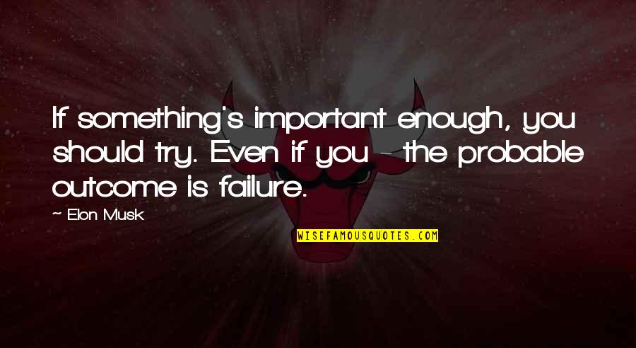 Nendartaltsi Quotes By Elon Musk: If something's important enough, you should try. Even