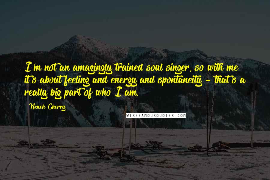 Neneh Cherry quotes: I'm not an amazingly trained soul singer, so with me it's about feeling and energy and spontaneity - that's a really big part of who I am.
