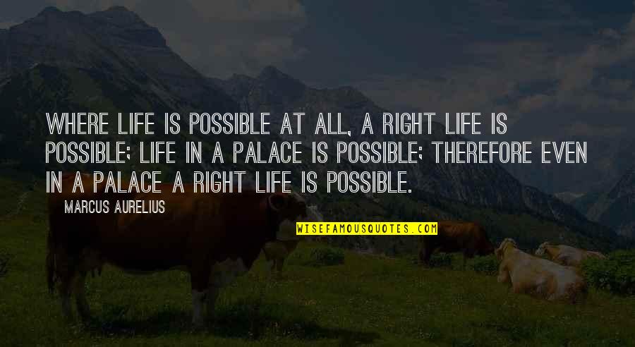 Nenneke Quotes By Marcus Aurelius: Where life is possible at all, a right
