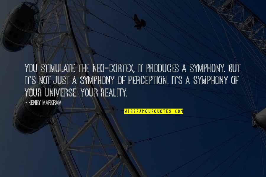 Neo-luddite Quotes By Henry Markram: You stimulate the neo-cortex, it produces a symphony.