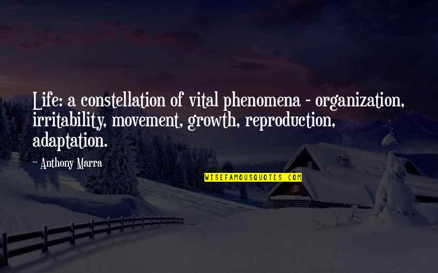 Neoconservative Movement Quotes By Anthony Marra: Life: a constellation of vital phenomena - organization,