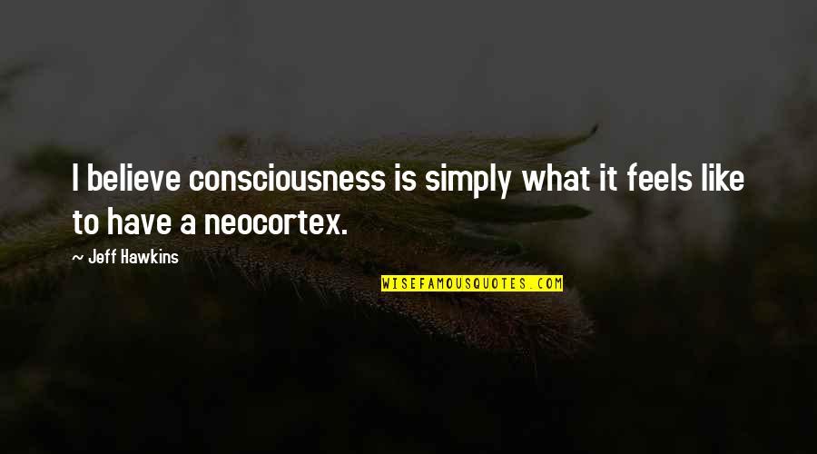 Neocortex Quotes By Jeff Hawkins: I believe consciousness is simply what it feels