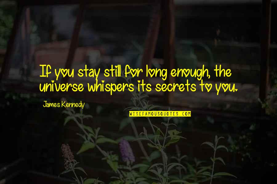 Neon Lights Depressing Quotes By James Kennedy: If you stay still for long enough, the