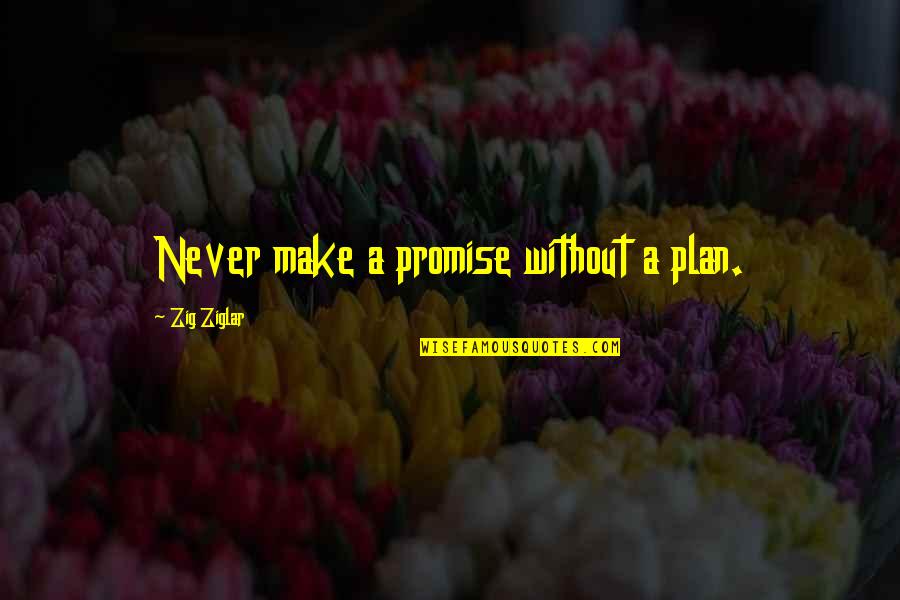 Neovita Capsules Quotes By Zig Ziglar: Never make a promise without a plan. Neovita Capsules Quotes By Zig Ziglar: Never make a promise without a plan.