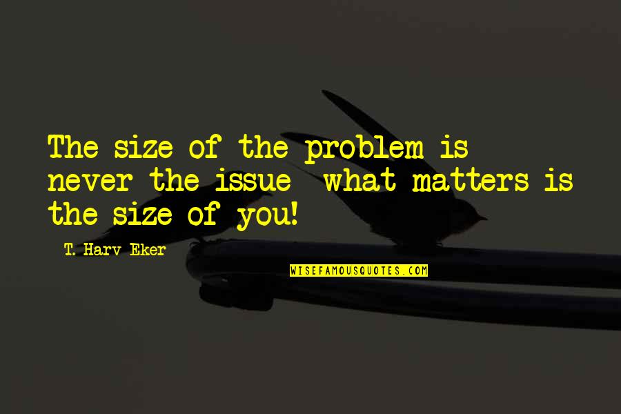 Nephites In North Quotes By T. Harv Eker: The size of the problem is never the