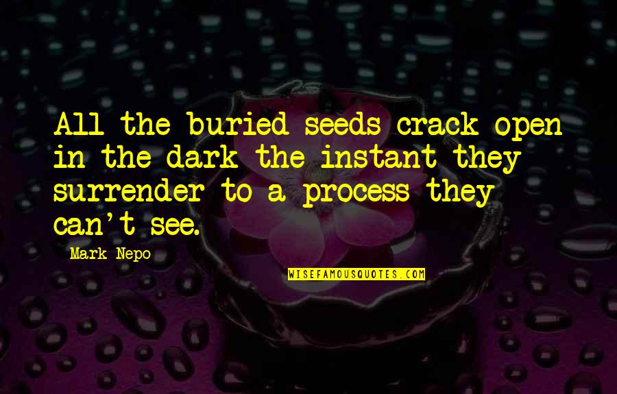 Nepo Quotes By Mark Nepo: All the buried seeds crack open in the