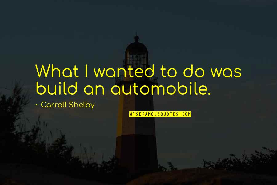 Neptr Quotes By Carroll Shelby: What I wanted to do was build an