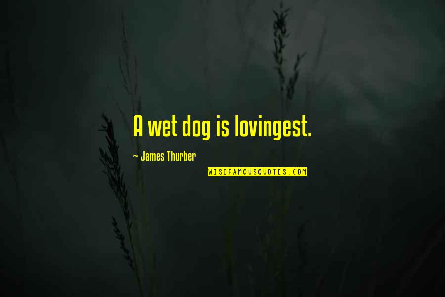 Nerd Candy Valentines Quotes By James Thurber: A wet dog is lovingest.