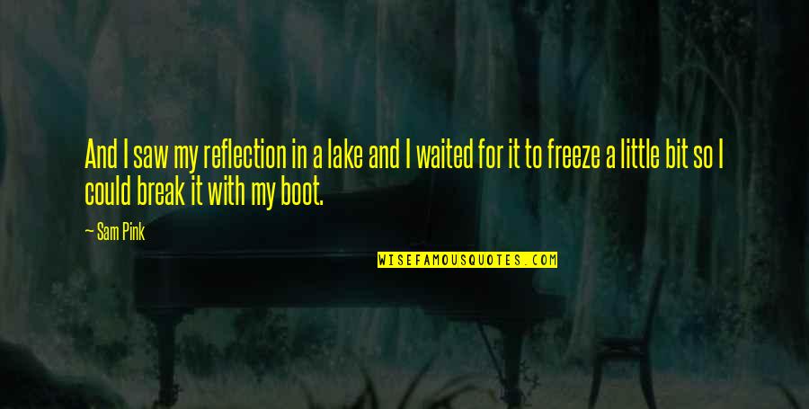 Nerone Oven Quotes By Sam Pink: And I saw my reflection in a lake Nerone Oven Quotes By Sam Pink: And I saw my reflection in a lake
