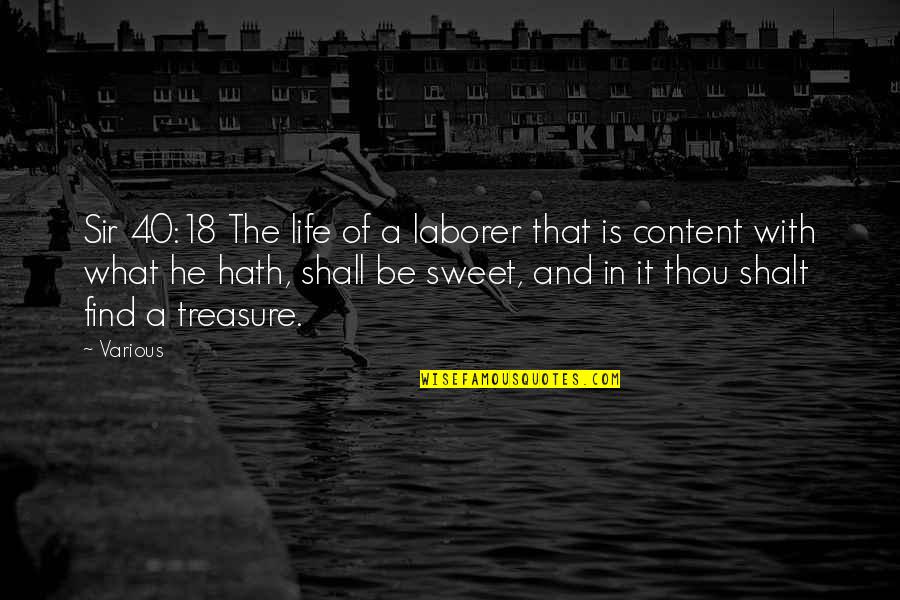 Nerubian Quotes By Various: Sir 40:18 The life of a laborer that