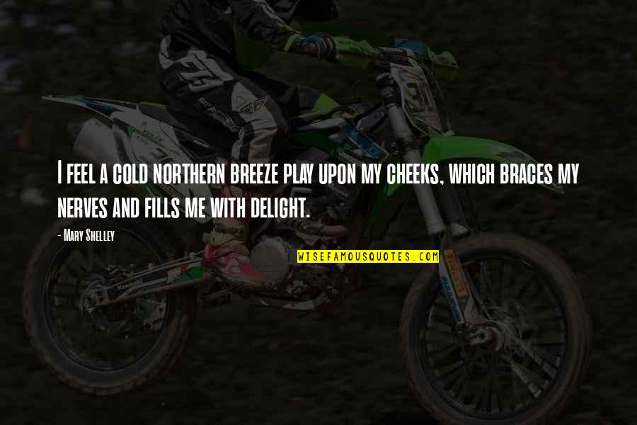 Nerves Quotes By Mary Shelley: I feel a cold northern breeze play upon