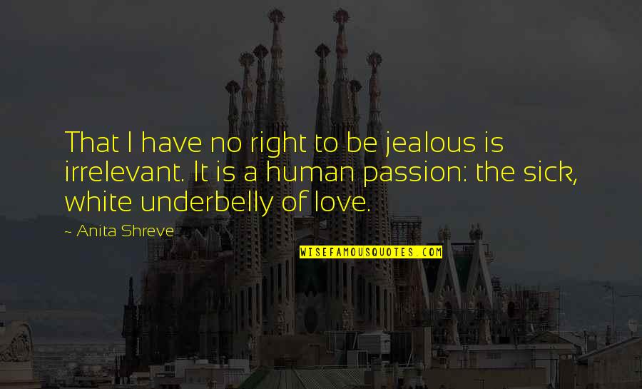 Nerviosa Imagenes Quotes By Anita Shreve: That I have no right to be jealous