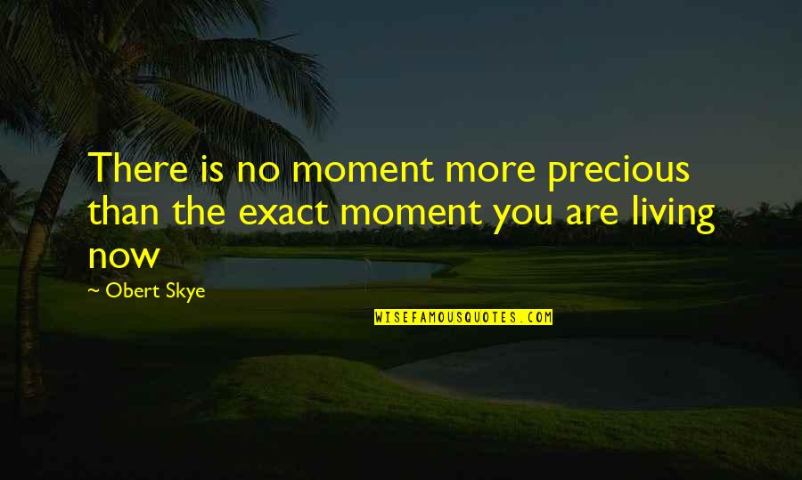 Nescience Quotes By Obert Skye: There is no moment more precious than the