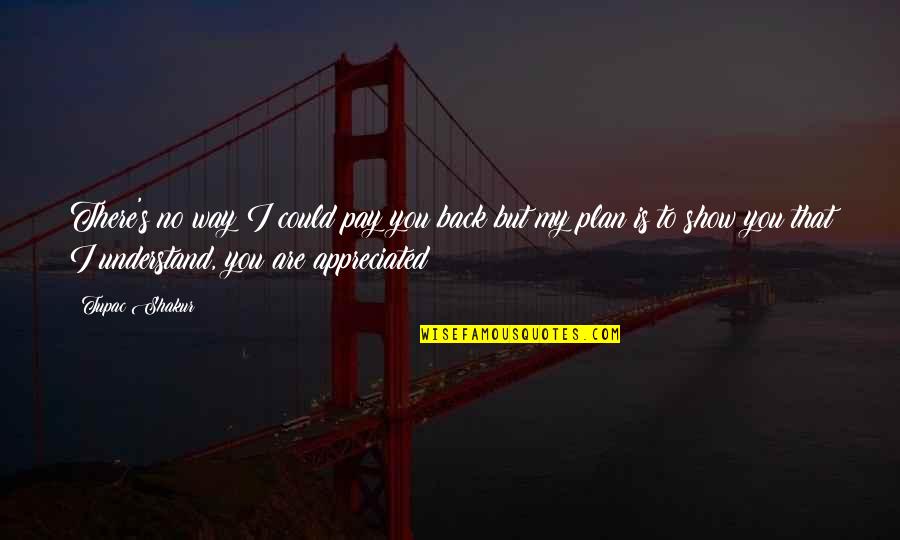 Nesheiwat Janette Quotes By Tupac Shakur: There's no way I could pay you back Nesheiwat Janette Quotes By Tupac Shakur: There's no way I could pay you back