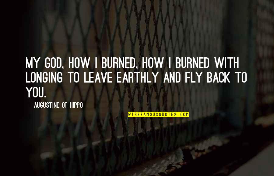Nespereira Gouveia Quotes By Augustine Of Hippo: My God, how I burned, how I burned