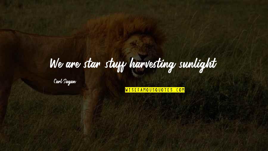 Nespereira Gouveia Quotes By Carl Sagan: We are star stuff harvesting sunlight.