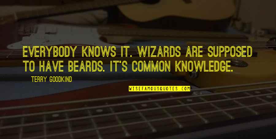 Nessa Famous Quotes By Terry Goodkind: Everybody knows it. Wizards are supposed to have