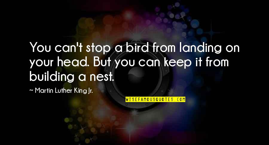 Nest Quotes By Martin Luther King Jr.: You can't stop a bird from landing on