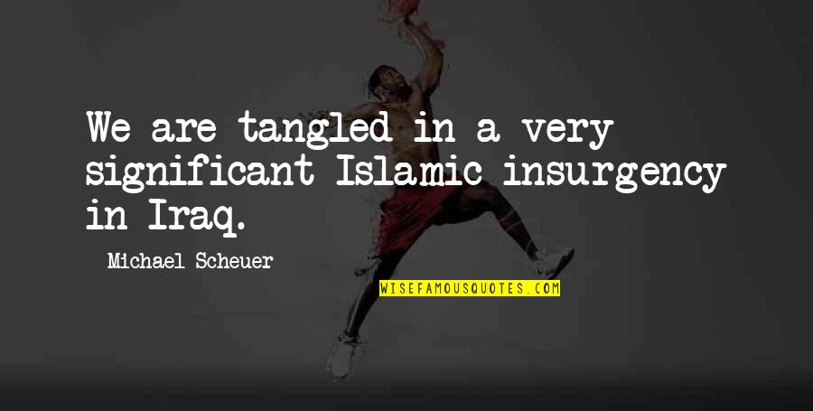 Nestanem Quotes By Michael Scheuer: We are tangled in a very significant Islamic