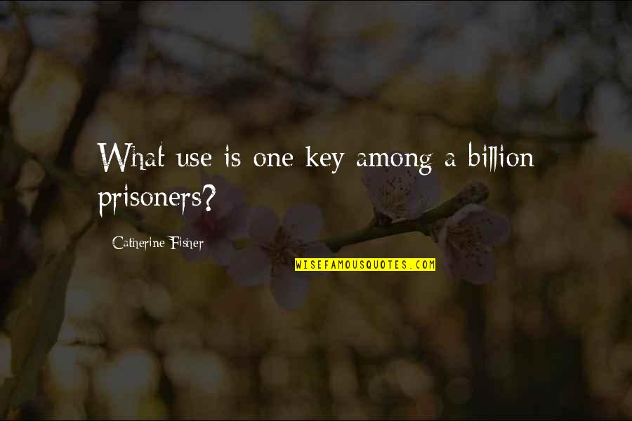 Nesvadba Milo Quotes By Catherine Fisher: What use is one key among a billion