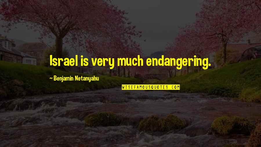 Netanyahu Quotes By Benjamin Netanyahu: Israel is very much endangering.