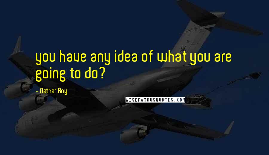 Nether Boy quotes: you have any idea of what you are going to do?