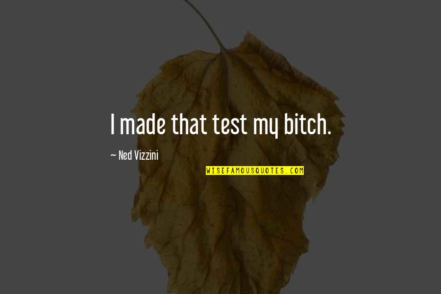 Nethers Quotes By Ned Vizzini: I made that test my bitch.